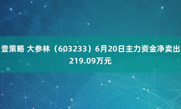 壹策略 大参林（603233）6月20日主力资金净卖出219.09万元