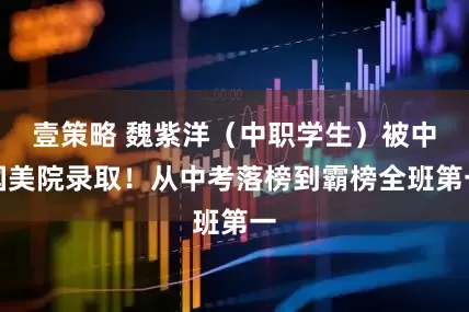 壹策略 魏紫洋（中职学生）被中国美院录取！从中考落榜到霸榜全班第一