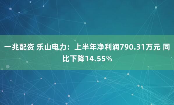一兆配资 乐山电力：上半年净利润790.31万元 同比下降14.55%